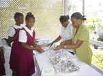 Jamaica National Heritage Trust - Communications